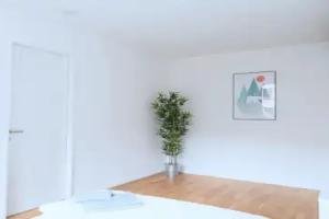 BS Fox I - Messe Hitrental Apartment, Weil am Rhein