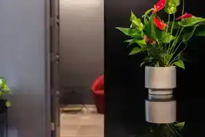 The Sendal Boutique Hotel, Nicosia