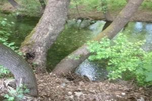 Ersalpark Ekin Dere Evleri Guest house, Marmaris