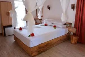 Vaali Maldives Island Escapes & Dive Guest House, Felidhoo 