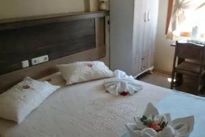 Wallabies Aquaduct Hotel, Selcuk