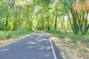 Pet-friendly Home w/ Yard, 2 Mi to Autzen Stadium Apartments, Eugene