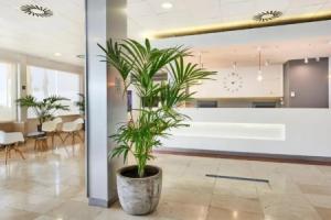 Cala'n Bosch, Cala'n Bosch