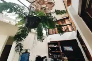 For Rest Boutique House Koh Kood, Kood