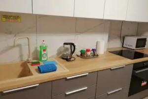 Mango Apartment on Gogol street 92, Brest