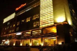 Pipal Tree Hotel, Kolkata