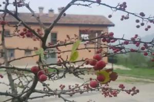 Agriturismo Ben Ti Voglio, Bologna