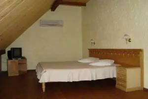 Park Hotel Drevny Grad, Lvov