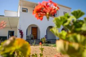 Yalıyanı Pansiyon, Bodrum
