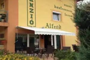Alfred Panzio, Budapest