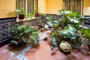 Adriano Boutique Sevilla, Seville