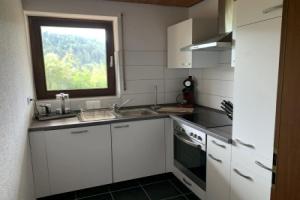 Schlossblickwohnung Schiel Hotel, Gernsbach