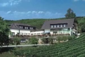 Oestrich-Winkel - Hotels