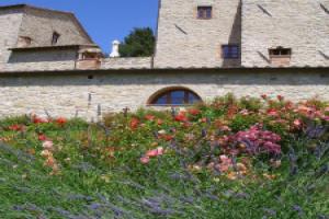 Borgo di Pietrafitta Relais, Castellina in Chianti