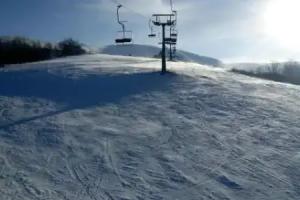 Sadyba Gostynniy Dvir, Iska