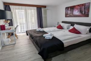 Room in Guest Room - City Hotel - Double Room 117, Rastatt