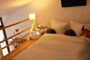 Ferienwohnung Felix Apartments, Braunlage