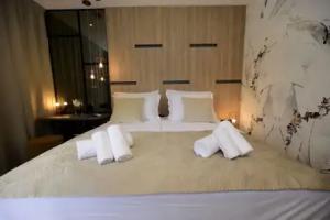 The Lion Rooms, Zadar