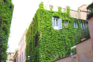 Romeo Al Babuino, Rome