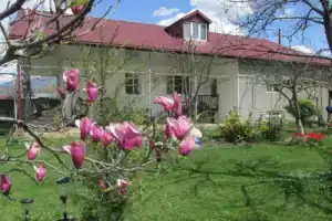 Guest House Melissa, K'vemo Alvani