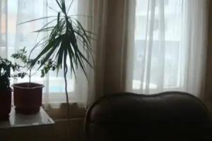 Hotel Detelina, Velingrad