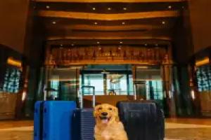 Hilton Bahrain Hotel, Manama