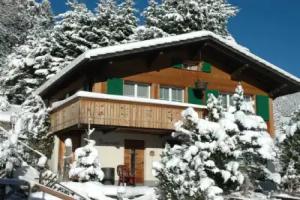 Bärgchutzli Parterre - One Bedroom, Adelboden