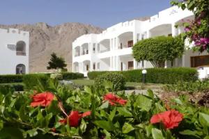 Happy Life Village Dahab , Dahab