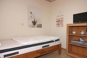 Doppelhaushalfte Ostseehaus I in Tourist base, Trassenheide