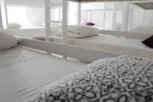 Tree House HOSTEL, Riga