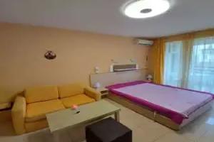 Harmony Hills Petkovi Studio apartment, Rogachevo