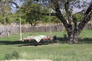 Jurten Camp Almaluu, Ton