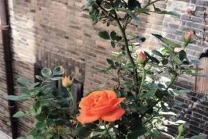 Gongxili Chujian Hotel (Kunming Nanping Pedestrian Street Old Street), Kunming