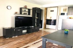 Pavlovi Apartments, Samokov