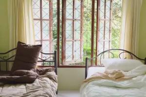 Krabi Host Family - Hostel, Krabi City