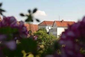 Hotel-Pension Blume, Bad Pyrmont