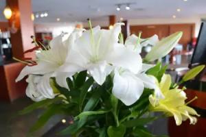 Hotel Cambodiana, Phnom Penh