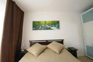Apartamente Olivero, Brasov