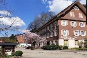Bad Rippoldsau-Schapbach - Hotels