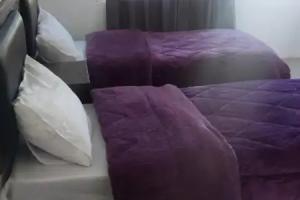 Magic view apartment, Wadi Mousa