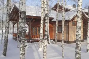 House B2 at the recreation center Novosti Park, Arneyevo