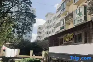 Pig House Homestay, Haikou