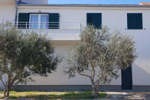Beach apartment ANA with sea view, balcony, garden & bbq, Murter - Dalmatia, Betina