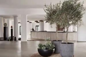 Orama Hotel & Spa, Fira