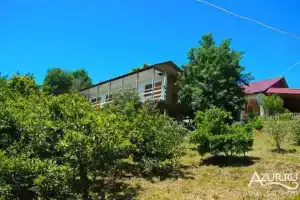 Guesthouse u Andreya i Anny, Ldzaa