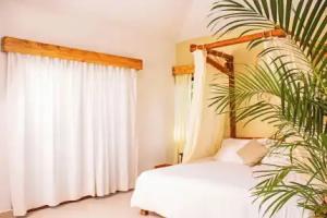 Enigmatic Boutique Hotel, Cancun
