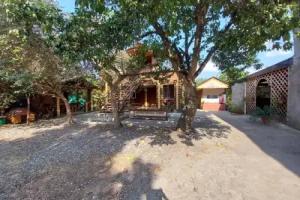 KAMELIA Guest house, Alakhadzi