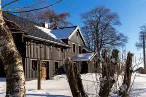 Unique House in the Vogtland Region With Open Architecture and Special Atmosphere, Klingenthal