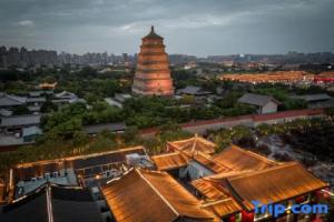 Hermitage Pagoda View Courtyard Hotel, Xi'an
