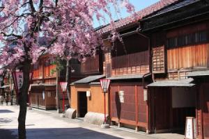 Wow! STAY Guest house, Kanazawa